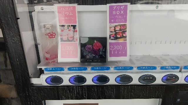 f:id:chukonen:20220121103345j:image