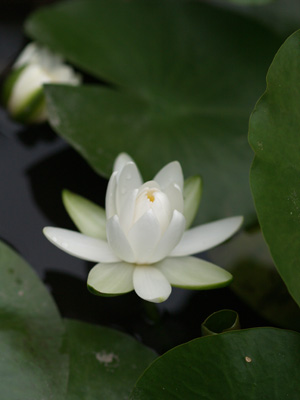 f:id:chumpeace:20190505092325j:plain f:id:chumpeace:20190505092325j:plain