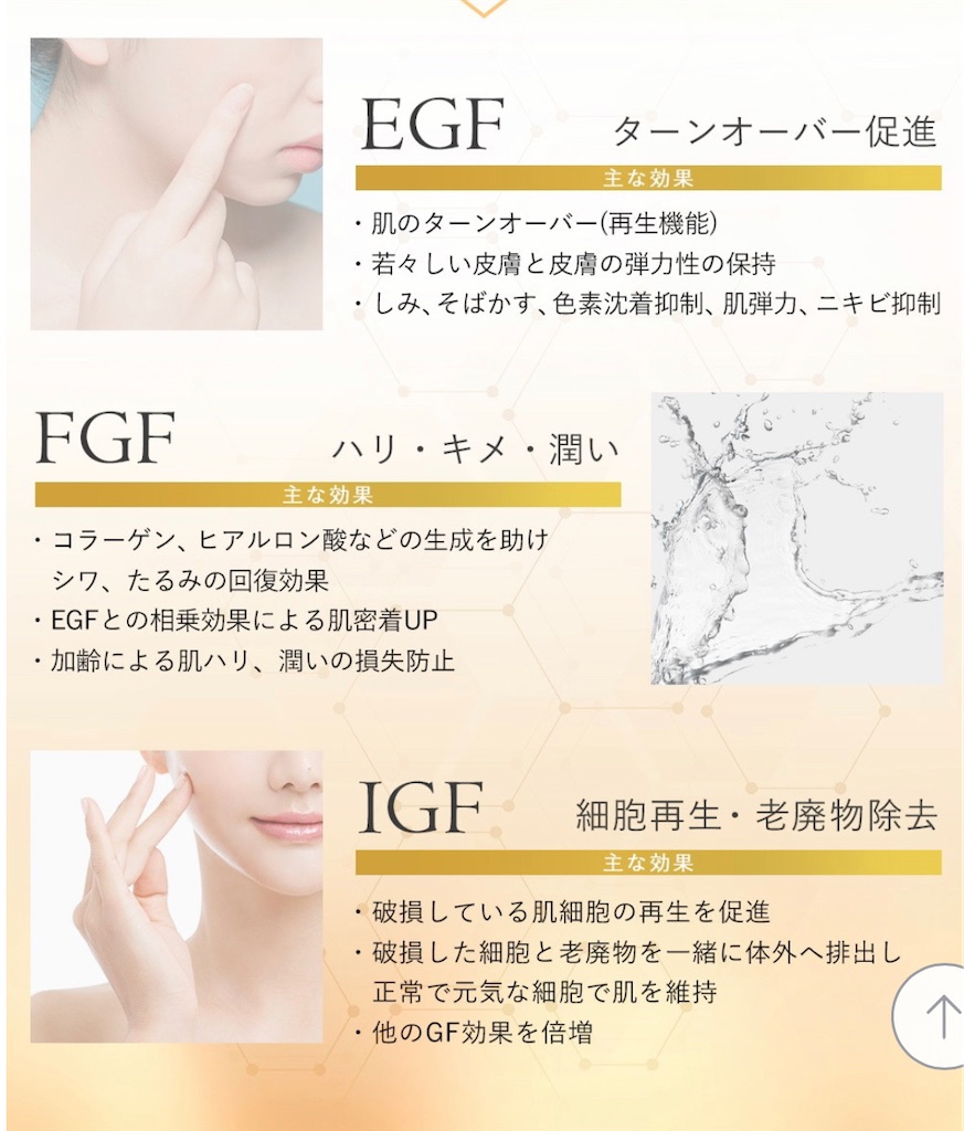 f:id:chumurin:20220924133757j:image