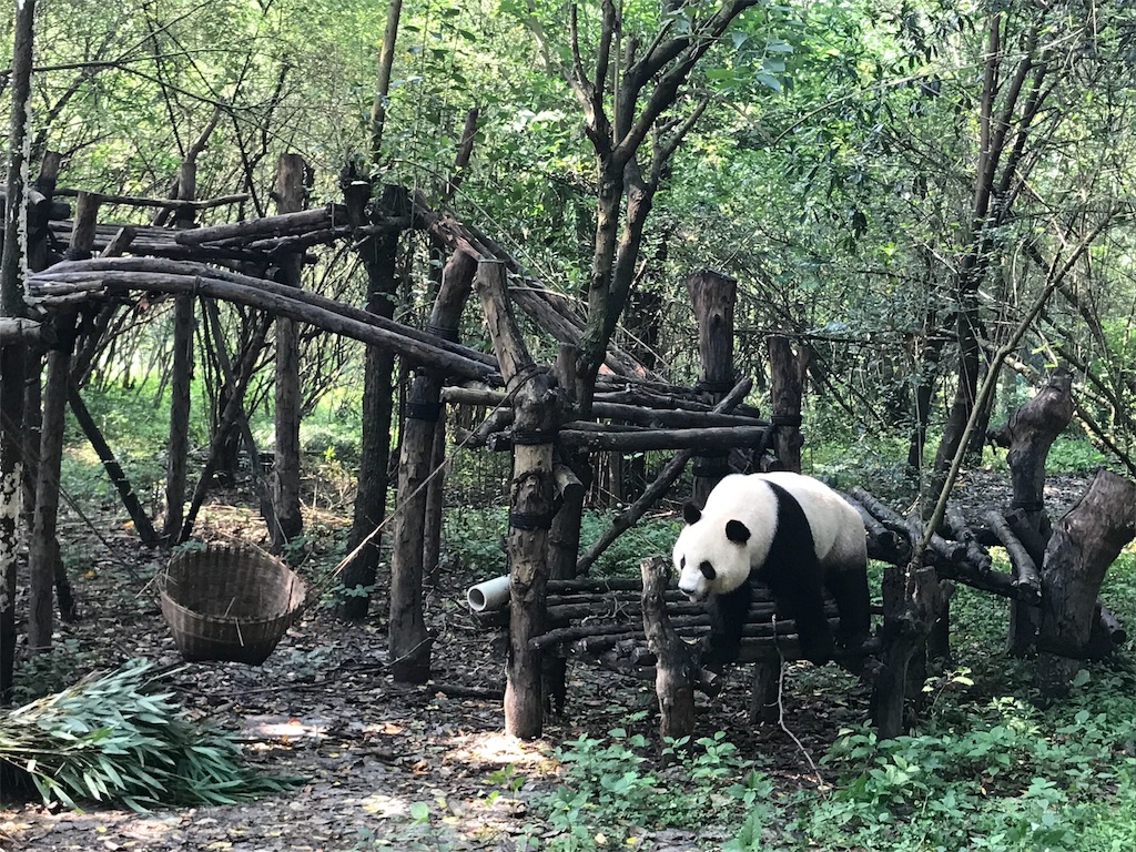 f:id:chunhua1223:20180726132436j:image