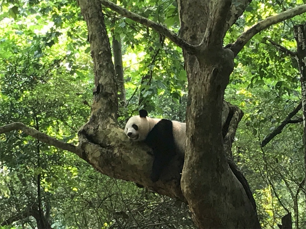 f:id:chunhua1223:20180726132502j:image