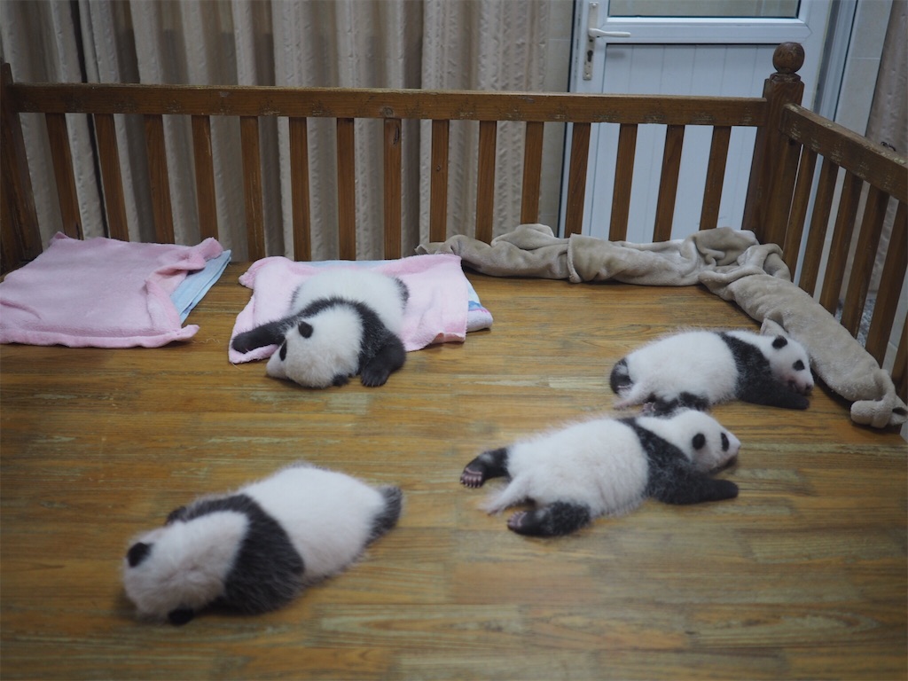 f:id:chunhua1223:20180902001207j:image