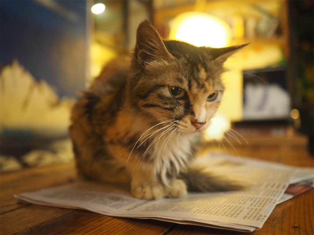 f:id:chunhua1223:20180902002351j:image