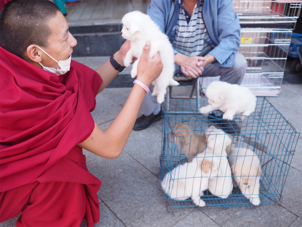 f:id:chunhua1223:20190104211521j:image