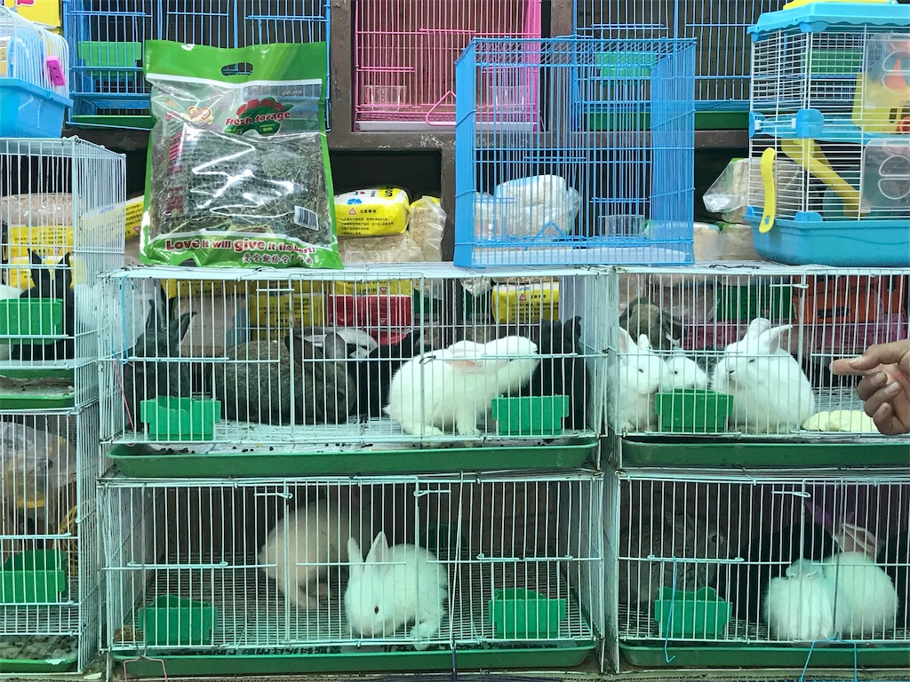 f:id:chunhua1223:20190104211609j:image