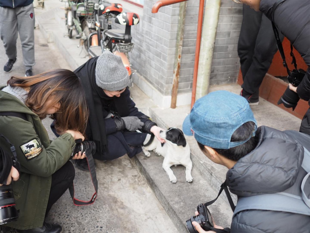 f:id:chunhua1223:20190129214945j:image