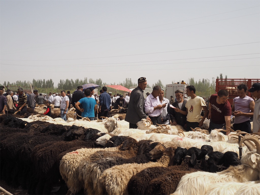 f:id:chunhua1223:20190910091522j:image