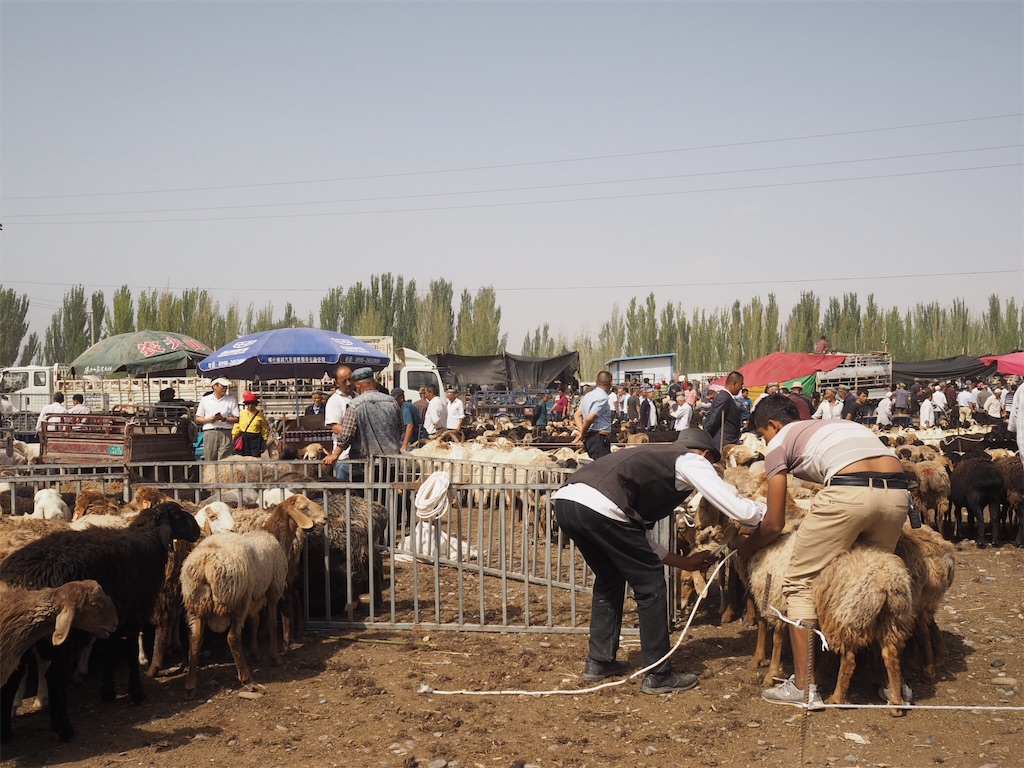 f:id:chunhua1223:20191118012959j:image