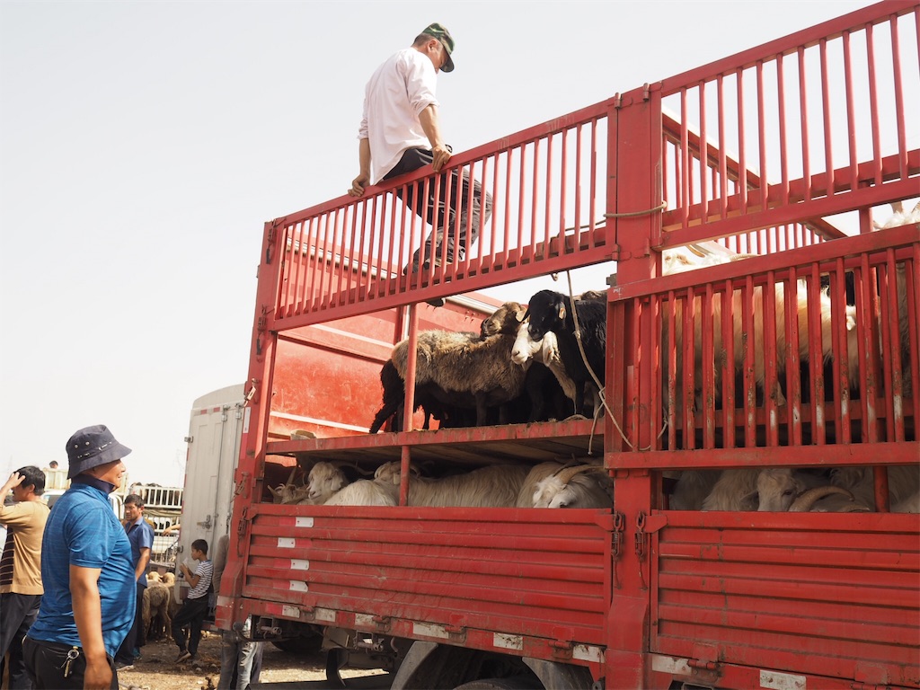 f:id:chunhua1223:20191118013021j:image