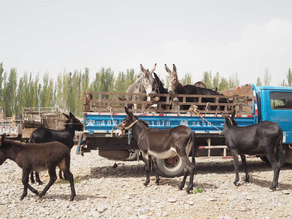 f:id:chunhua1223:20191118013151j:image