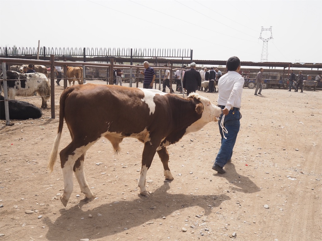 f:id:chunhua1223:20191118013203j:image