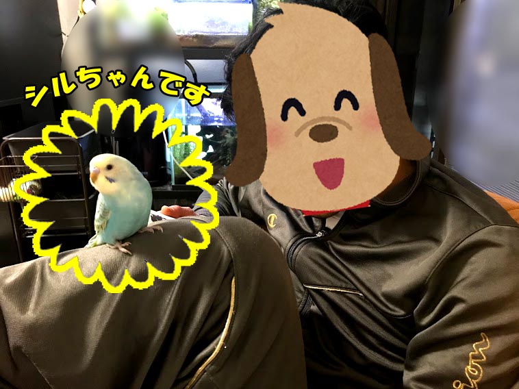 f:id:chunkoro:20210423111102j:plain