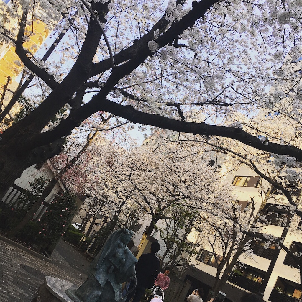 f:id:chunzi48:20180401224630j:image
