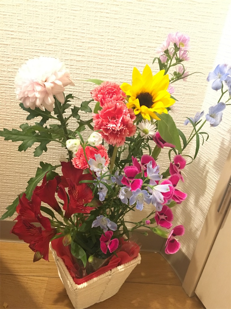f:id:chunzi48:20180514120307j:image