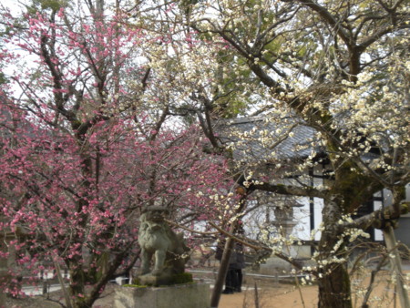 f:id:chuo-nurse:20100212152941j:image f:id:chuo-nurse:20100212152941j:image
