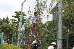 f:id:chuoes:20121003195224j:image