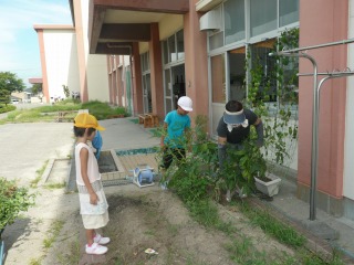 f:id:chuoes:20130821121843j:image