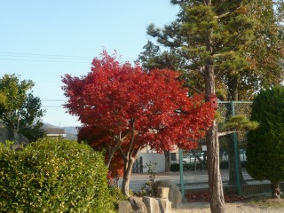 f:id:chuoes:20131124152640j:image