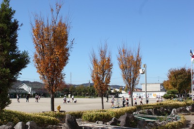 f:id:chuoes:20141127192129j:image