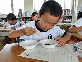 f:id:chuoes:20160708200653j:image