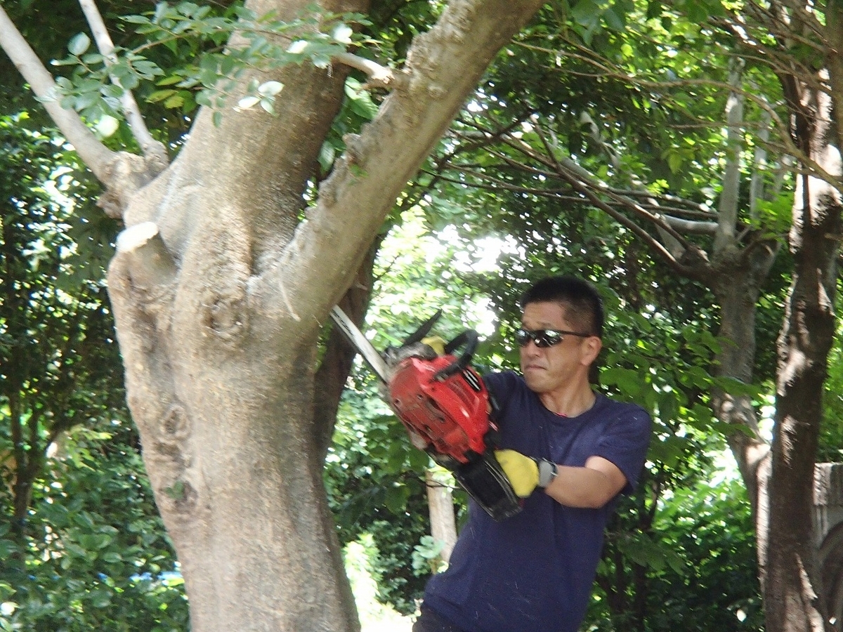 f:id:chuoes:20200624200716j:plain