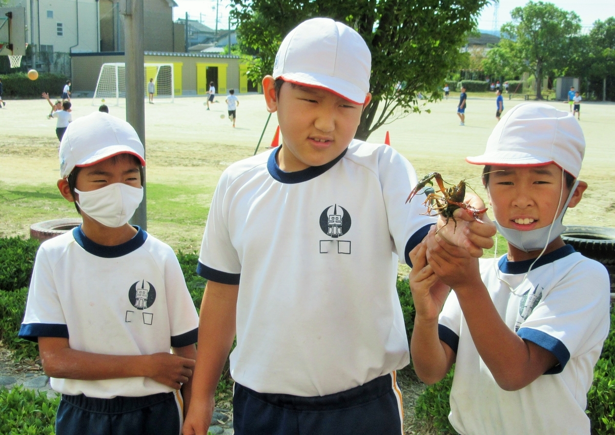 f:id:chuoes:20201014103756j:plain