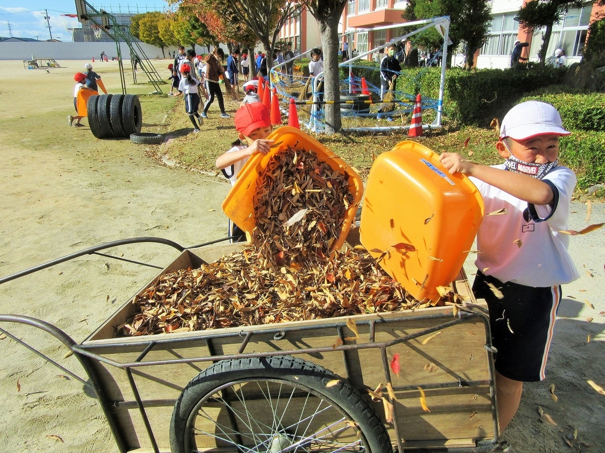 f:id:chuoes:20201109182432j:plain f:id:chuoes:20201109182432j:plain