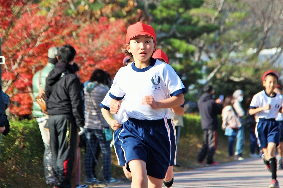 f:id:chuoes:20201209191136j:plain