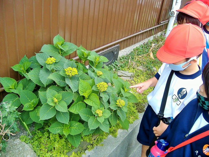 f:id:chuoes:20210511181720j:plain