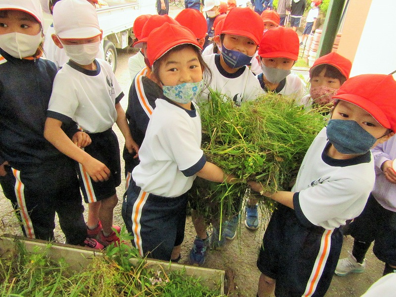 f:id:chuoes:20210511182220j:plain