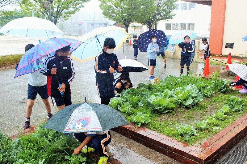 f:id:chuoes:20210521200401j:plain