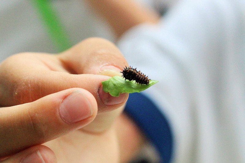 f:id:chuoes:20210521200959j:plain