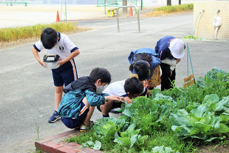 f:id:chuoes:20210522131613j:plain