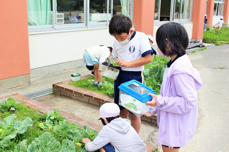 f:id:chuoes:20210522131648j:plain