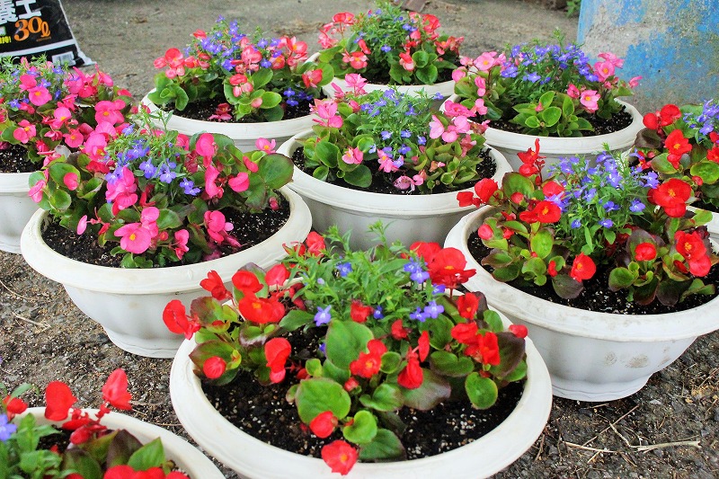 f:id:chuoes:20210603182247j:plain