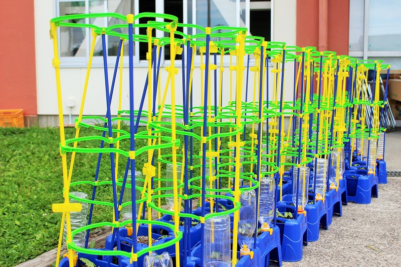 f:id:chuoes:20210603182312j:plain