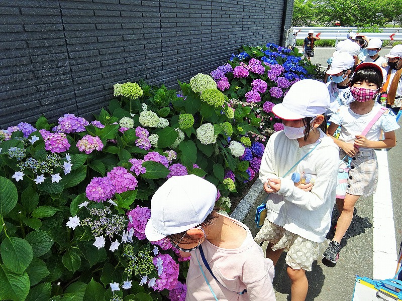 f:id:chuoes:20210603190343j:plain