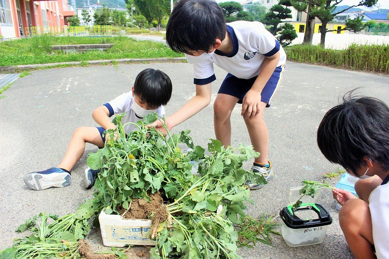 f:id:chuoes:20210611190748j:plain