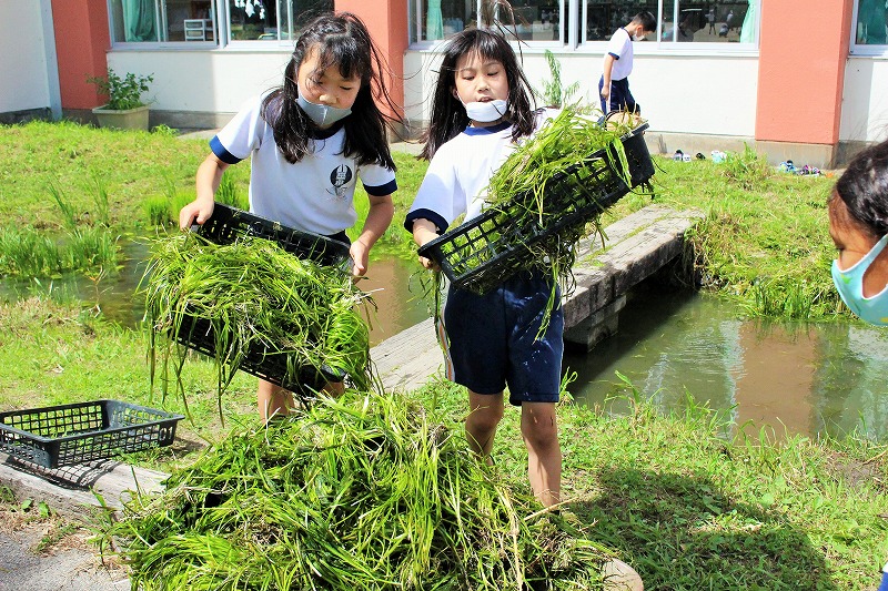 f:id:chuoes:20210716184526j:plain