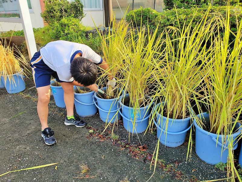 f:id:chuoes:20211015184853j:plain