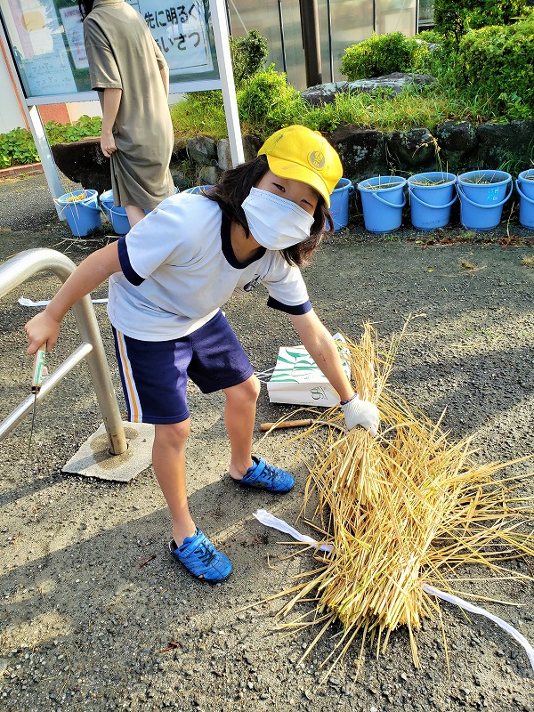 f:id:chuoes:20211015184917j:plain