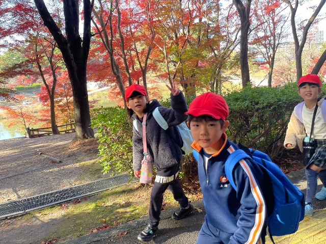 f:id:chuoes:20231129140317j:image