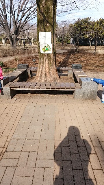 f:id:chuokurashinet:20180214100410j:image