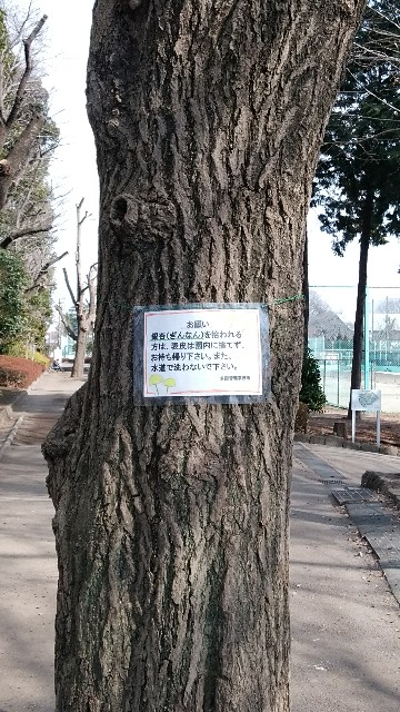 f:id:chuokurashinet:20180214101321j:image