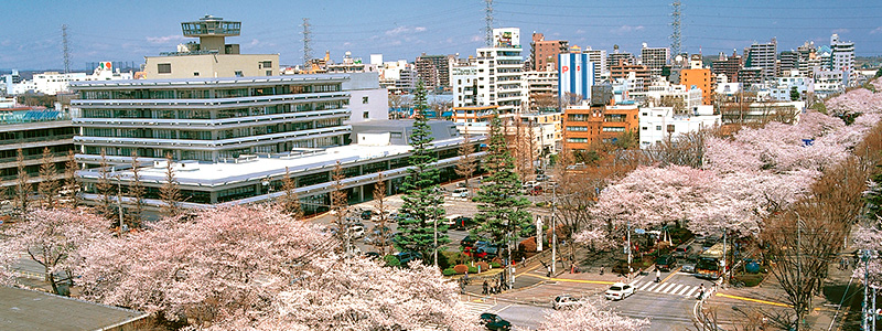 f:id:chuokurashinet:20180325061443j:plain f:id:chuokurashinet:20180325061443j:plain