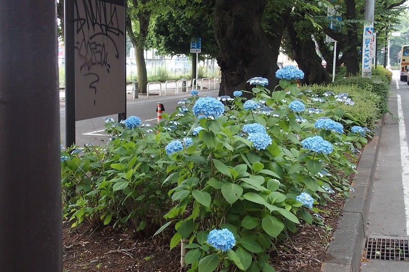 f:id:chuokurashinet:20180601070457j:plain