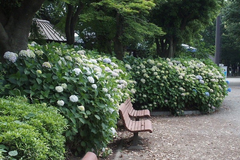 f:id:chuokurashinet:20180601195111j:plain