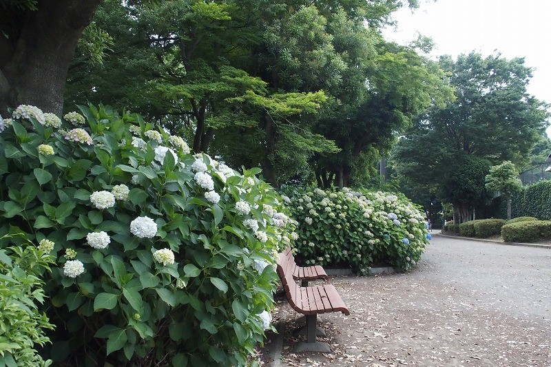 f:id:chuokurashinet:20180601195740j:plain