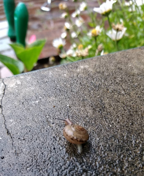f:id:chuokurashinet:20180607082148p:plain