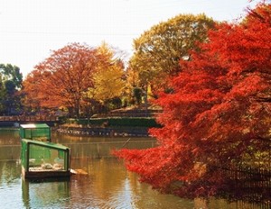 f:id:chuokurashinet:20181013154622j:plain